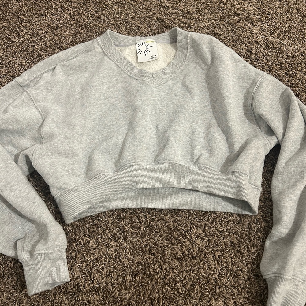 Aerie long sleeve crop